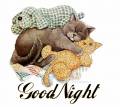 Приятных снов - Спокойной ночи открытки и картинки