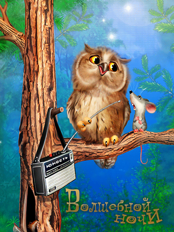 Анимация с совой и мышкой Волшебной ночи~Анимационные блестящие открытки GIF