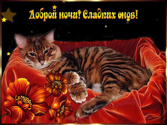 Доброй ночи! Сладких снов!~Анимационные блестящие открытки GIF