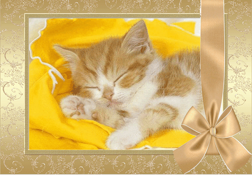 спящий рыжий котенок~Анимационные блестящие открытки GIF