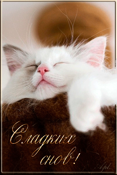 Сладких снов, котёнок!~Анимационные блестящие открытки GIF
