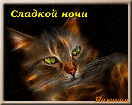 Сладкой ночи! Котёнок!~Анимационные блестящие открытки GIF