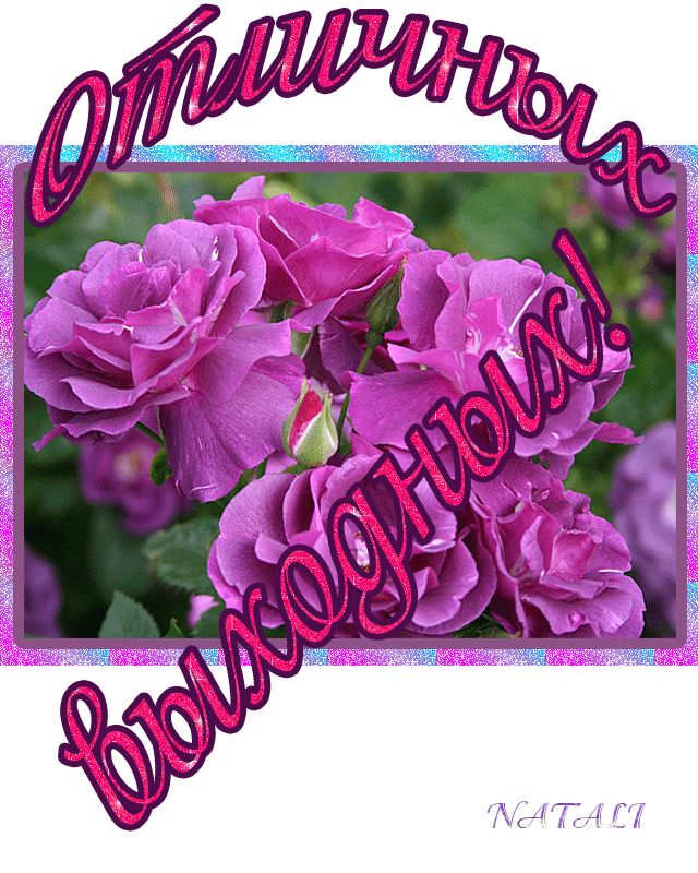 розовые розы~Анимационные блестящие открытки GIF