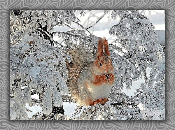 Удачного зимнего дня~Анимационные блестящие открытки GIF