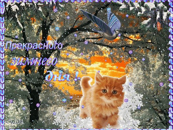 Прекрасного зимнего дня~Анимационные блестящие открытки GIF