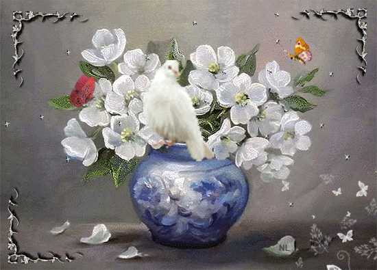 Пожелание от белого голубя~Анимационные блестящие открытки GIF