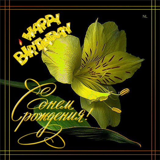 Поздравление с Днем рождения~Анимационные блестящие открытки GIF