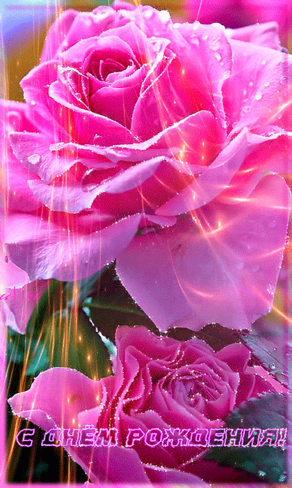 Розовая роза на день Рождения~Анимационные блестящие открытки GIF