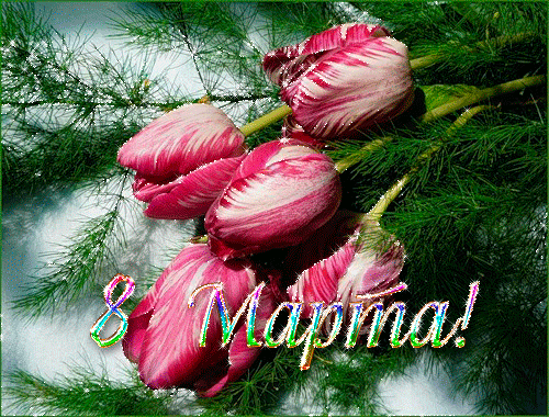 Красивые тюльпаны на 8 марта~Анимационные блестящие открытки GIF