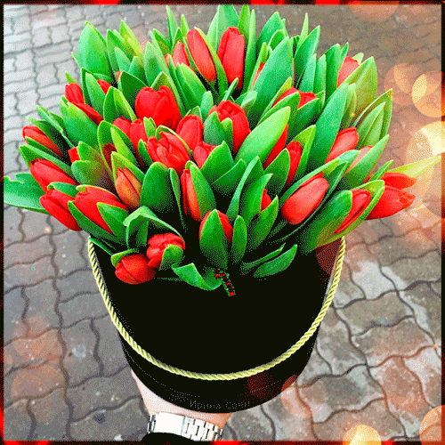 С 8 марта, ведёрко тюльпанов~Анимационные блестящие открытки GIF