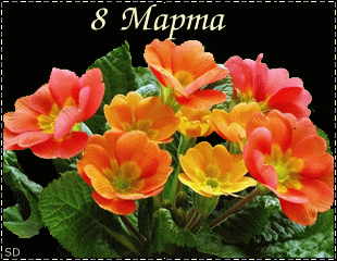 Цветы к 8 марта~Анимационные блестящие открытки GIF