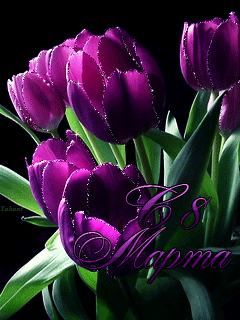 Тюльпаны на 8 марта~Анимационные блестящие открытки GIF