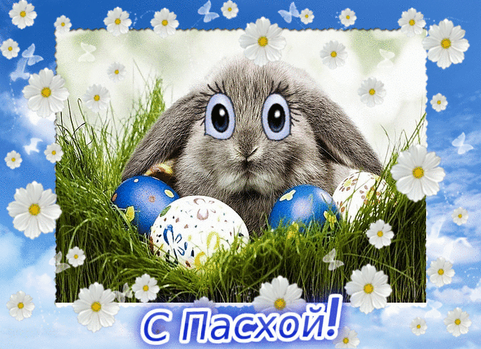 С Пасхой! кролик с крашенками~Анимационные блестящие открытки GIF