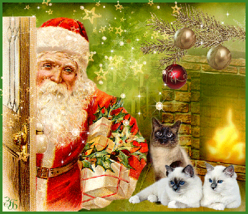 Дед Мороз с подарками~Анимационные блестящие открытки GIF