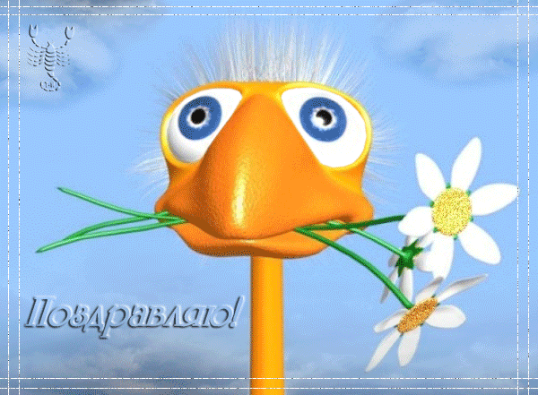 Поздравляю! (страусенок с ромашкой)~Анимационные блестящие открытки GIF