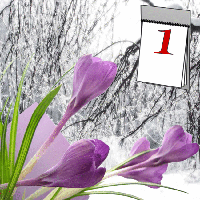 1 марта первый день весны~Анимационные блестящие открытки GIF