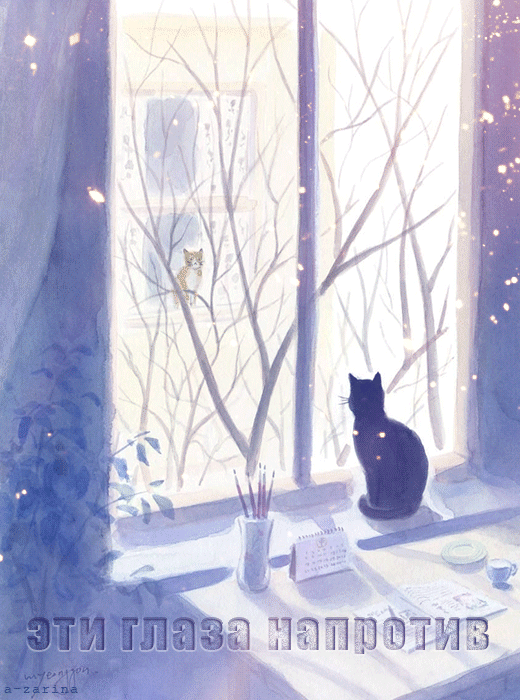 кошки на окошке~Анимационные блестящие открытки GIF