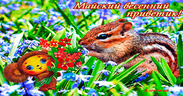 Майский весенний приветик~Анимационные блестящие открытки GIF