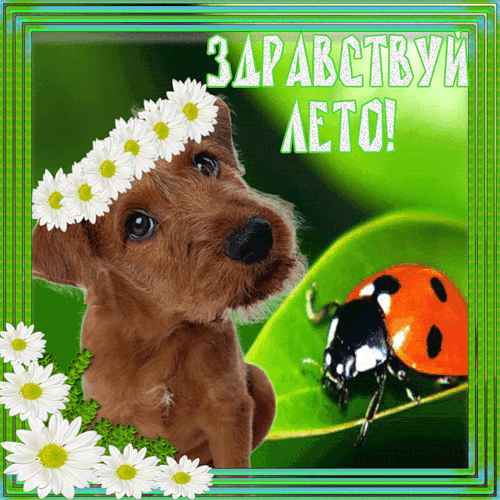 Здравствуй лето!~Анимационные блестящие открытки GIF