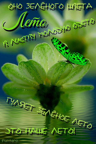 Лето зеленого цвета~Анимационные блестящие открытки GIF