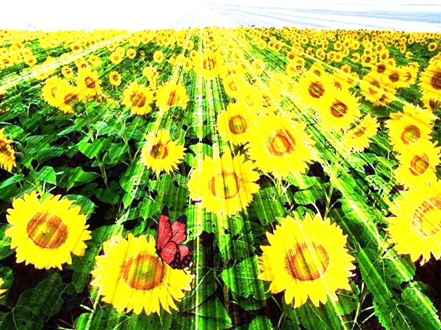 Солнечное лето~Анимационные блестящие открытки GIF