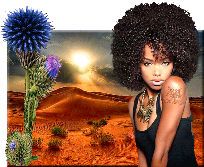 Пустынная красотка~Анимационные блестящие открытки GIF