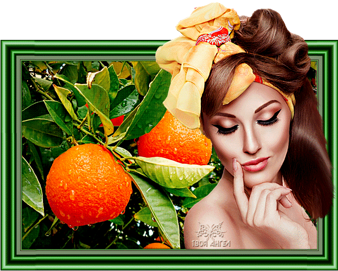 в апельсиновом саду...~Анимационные блестящие открытки GIF