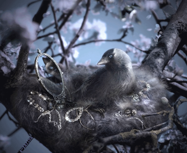 Птица-воровка~Анимационные блестящие открытки GIF