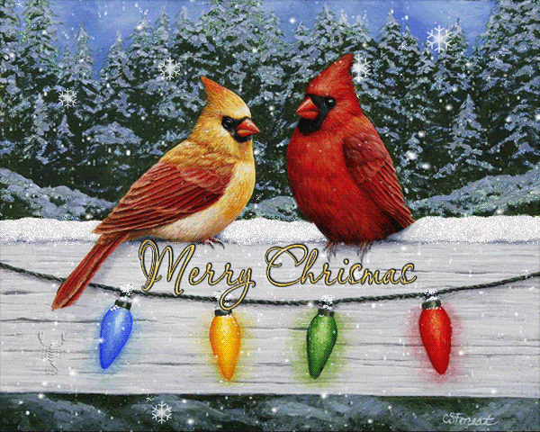 Merry Christmas!~Анимационные блестящие открытки GIF
