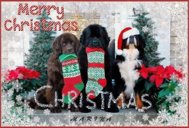 MERRY CHRISTMAS - Рождество Христово открытки и картинки