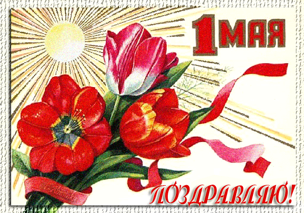 1 мая! Поздравляю! (букет тюльпанов)~Анимационные блестящие открытки GIF