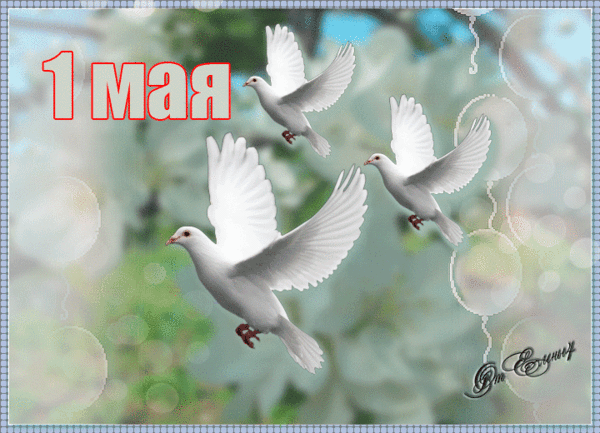 Открытка на 1 мая с изображением голубей~Анимационные блестящие открытки GIF
