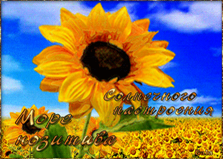 Солнечного настроения, море позитива~Анимационные блестящие открытки GIF