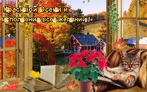 Исполнения желаний в эту Осень!~Анимационные блестящие открытки GIF