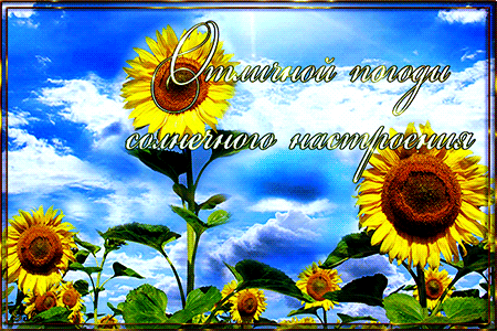Отличной погоды, солнечного настроения~Анимационные блестящие открытки GIF