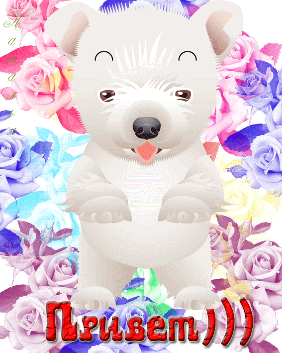Приветик с медвежонком~Анимационные блестящие открытки GIF