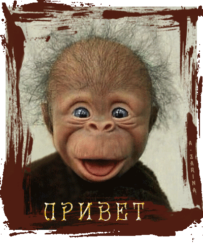 Весёлая обезьянка~Анимационные блестящие открытки GIF
