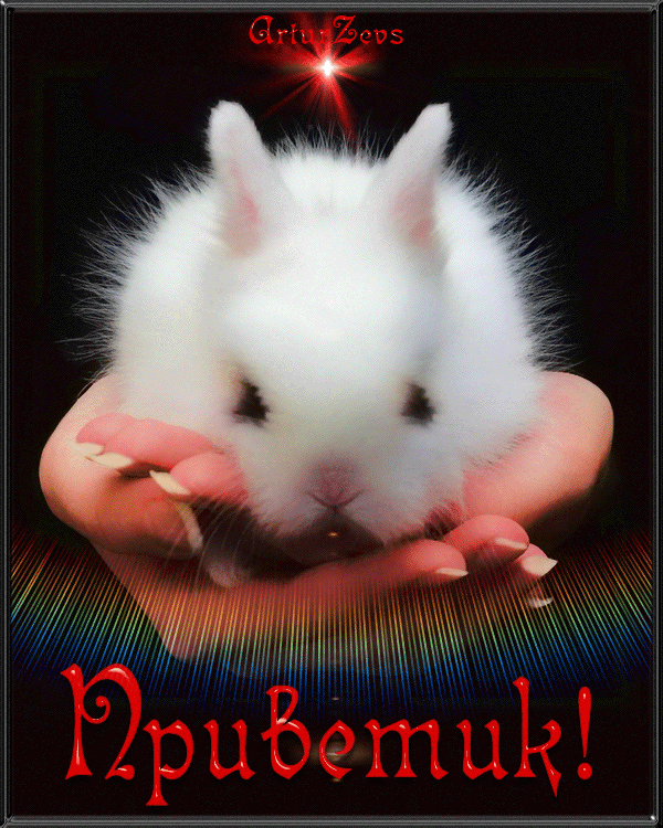 белый кролик~Анимационные блестящие открытки GIF