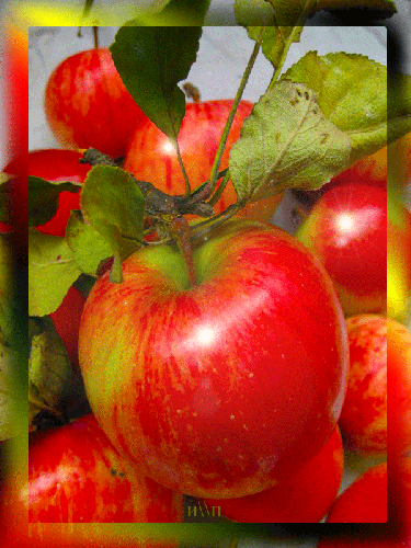 Наливные яблочки~Анимационные блестящие открытки GIF
