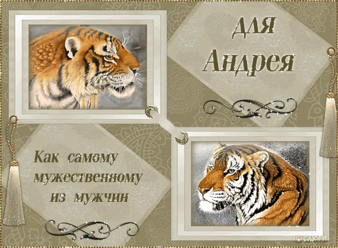 С Днём Рождения, Андрей!~Анимационные блестящие открытки GIF