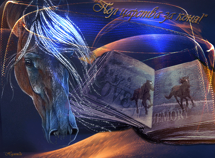 Пол царства за коня - Фразы и цитаты открытки и картинки