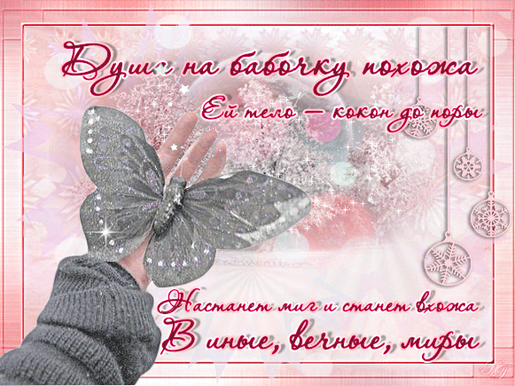 Хочу, чтоб бабочка моя цветами солнышка искрилась~Анимационные блестящие открытки GIF