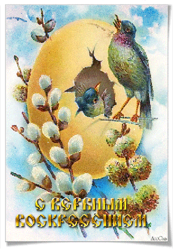 С праздником Вербного Воскресенья - Вербное Воскресенье открытки и картинки