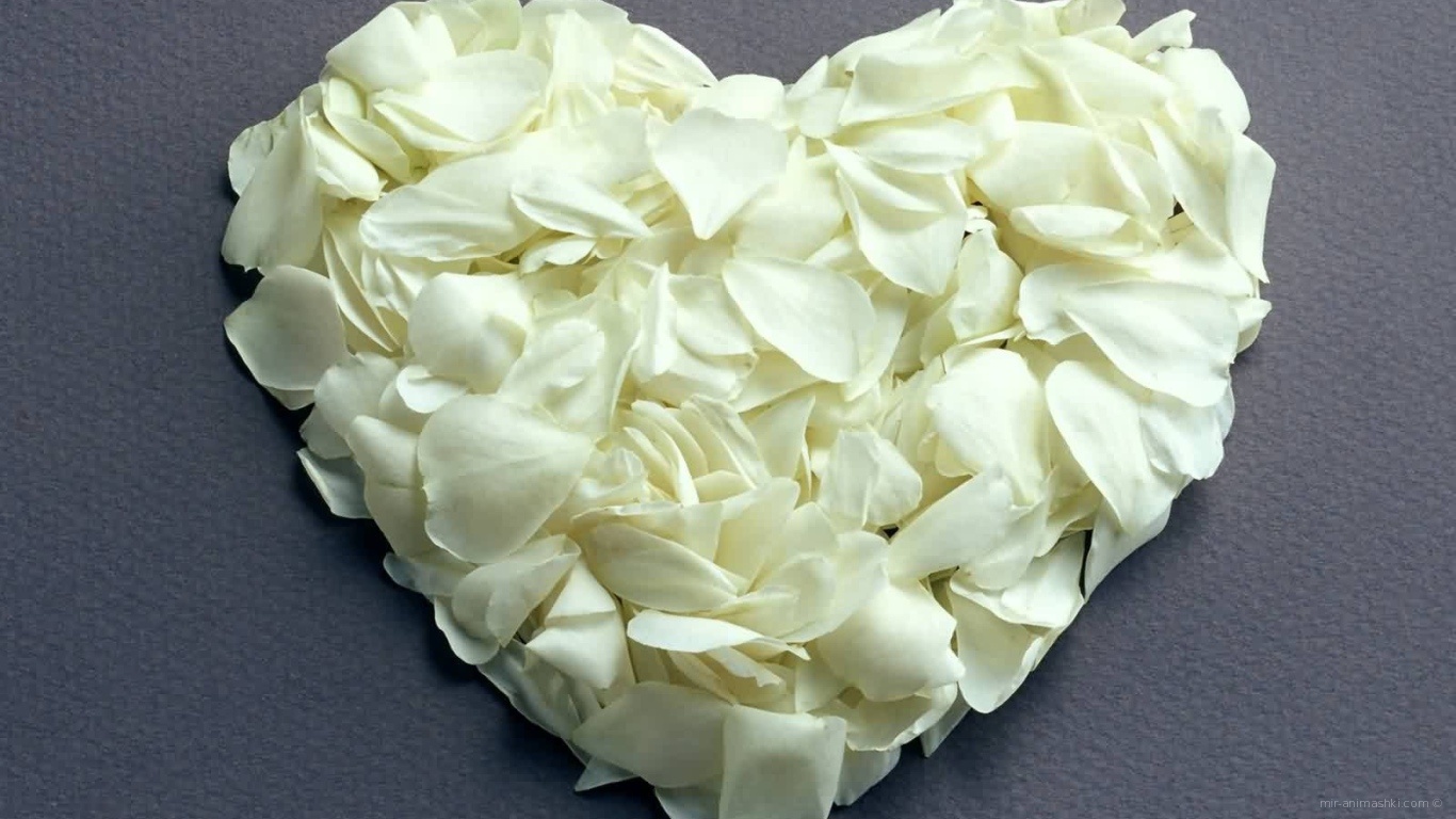 Сердце из белых лепестков на День Влюбленных 14 февраля~Анимационные блестящие открытки GIF