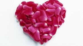 Сердце из красных лепестков на День Влюбленных 14 февраля