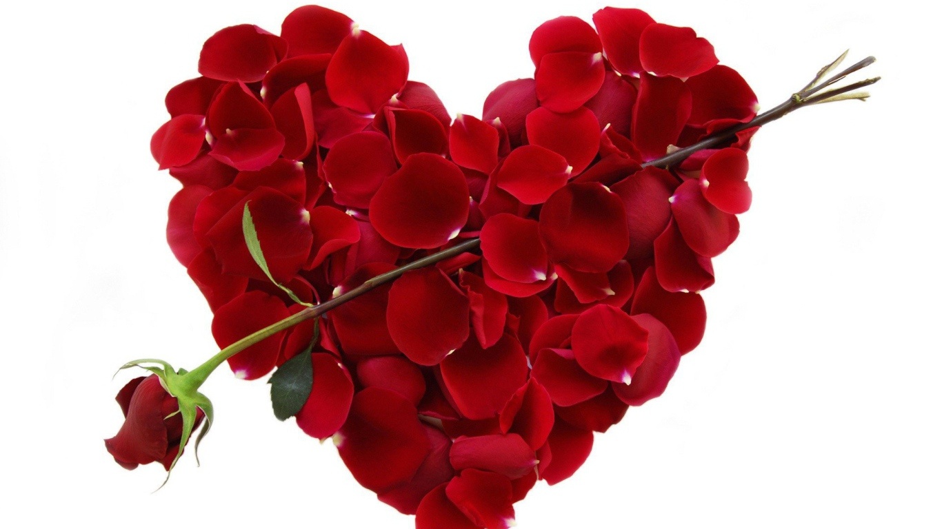 Роза и сердце из лепестков на День Влюбленных 14 февраля~Анимационные блестящие открытки GIF