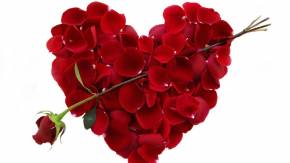 Роза и сердце из лепестков на День Влюбленных 14 февраля