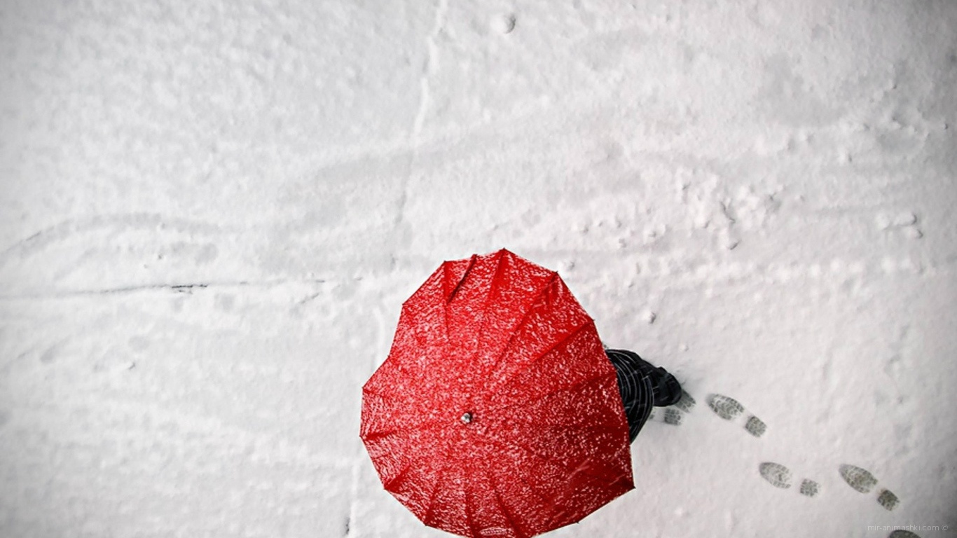 Зонт в форме сердца на День Святого Валентина 14 февраля~Анимационные блестящие открытки GIF