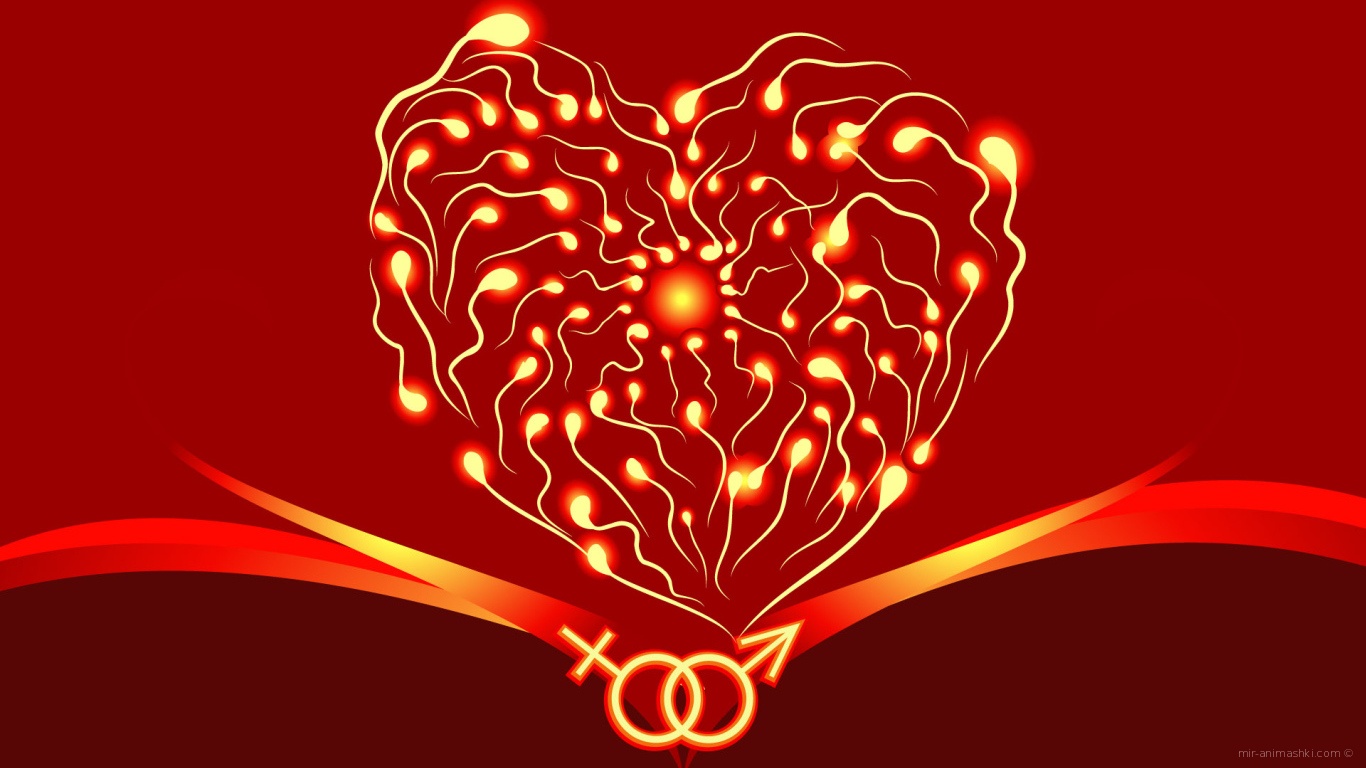 Инь Янь на День Святого Валентина 14 февраля~Анимационные блестящие открытки GIF