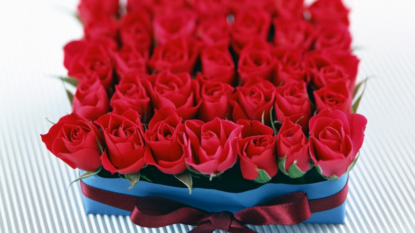 Розы в подарок на 8 марта~Анимационные блестящие открытки GIF